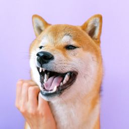 情绪稳定的假象