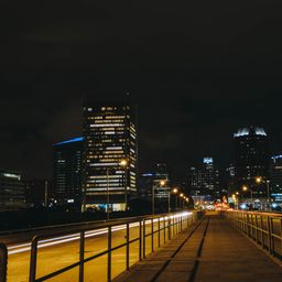 白鹭
