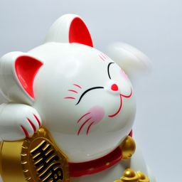 顾南
